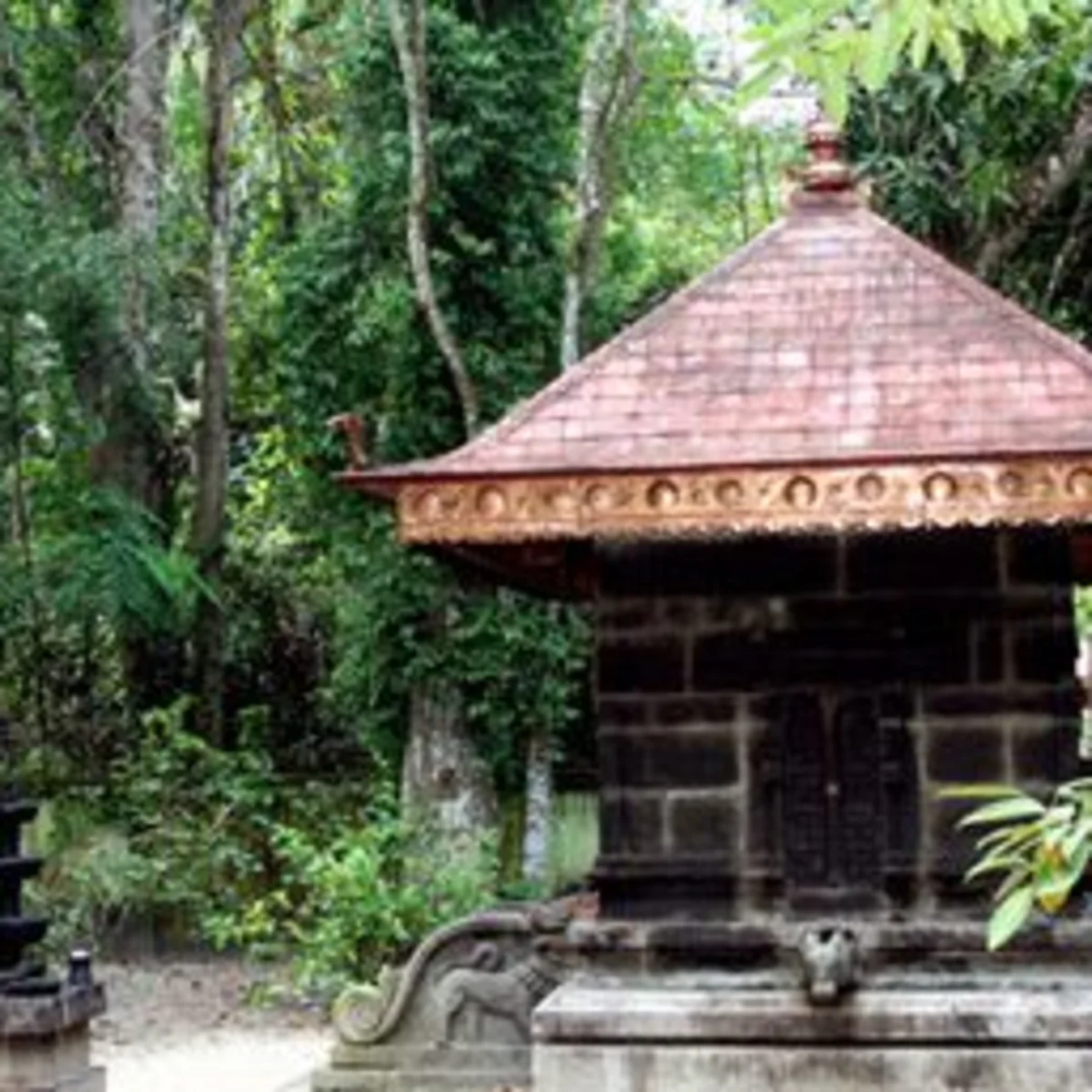 Mannarasala Temple Gallery Image 3