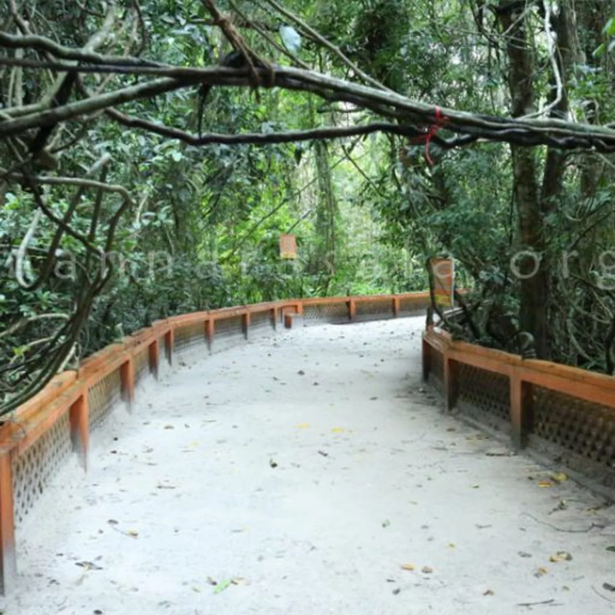 Mannarasala Temple Gallery Image 5