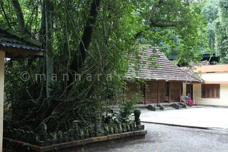 Gallery image - others