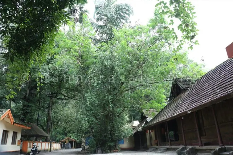 Gallery image - others