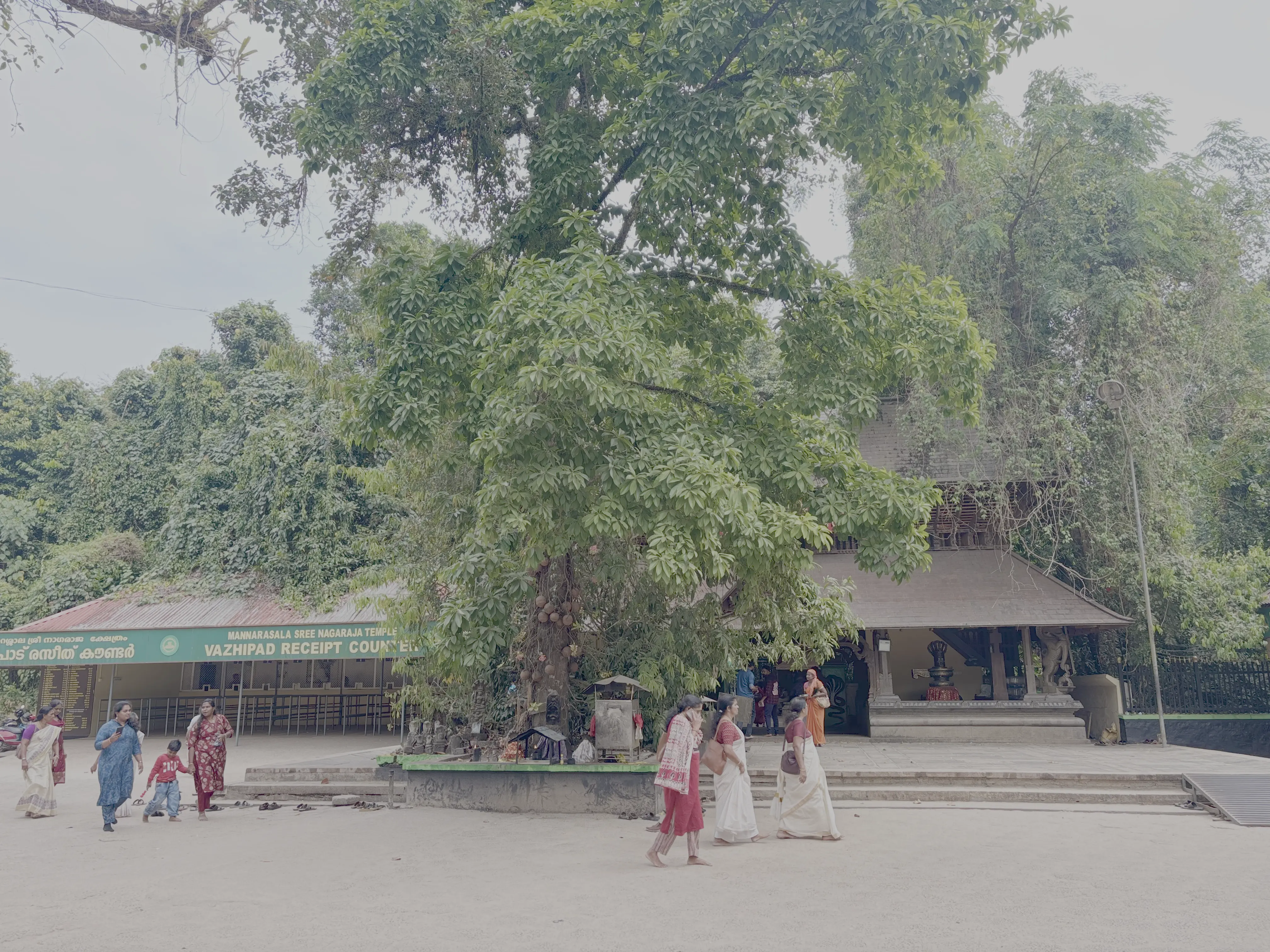 Gallery image - temple