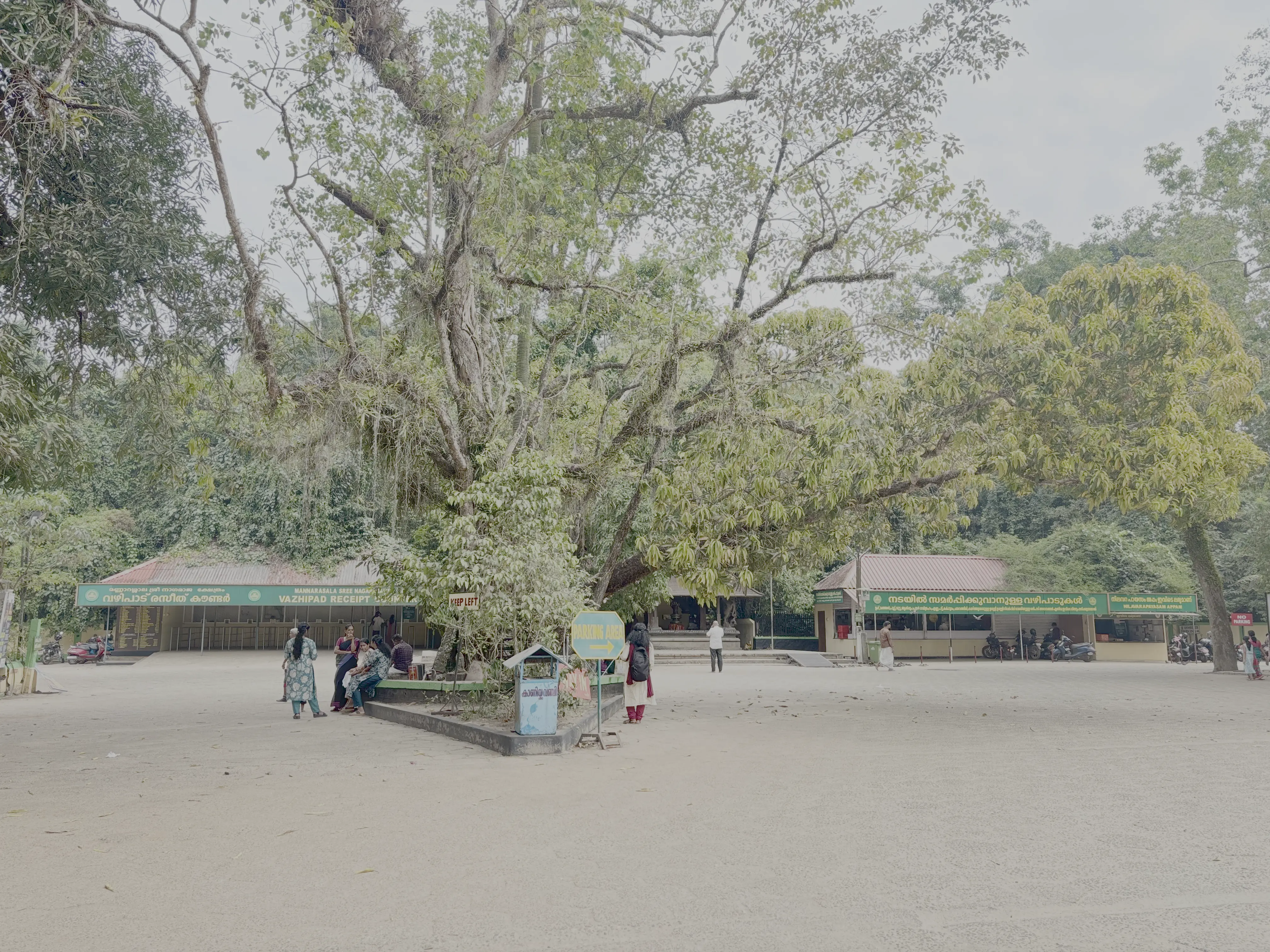 Gallery image - temple