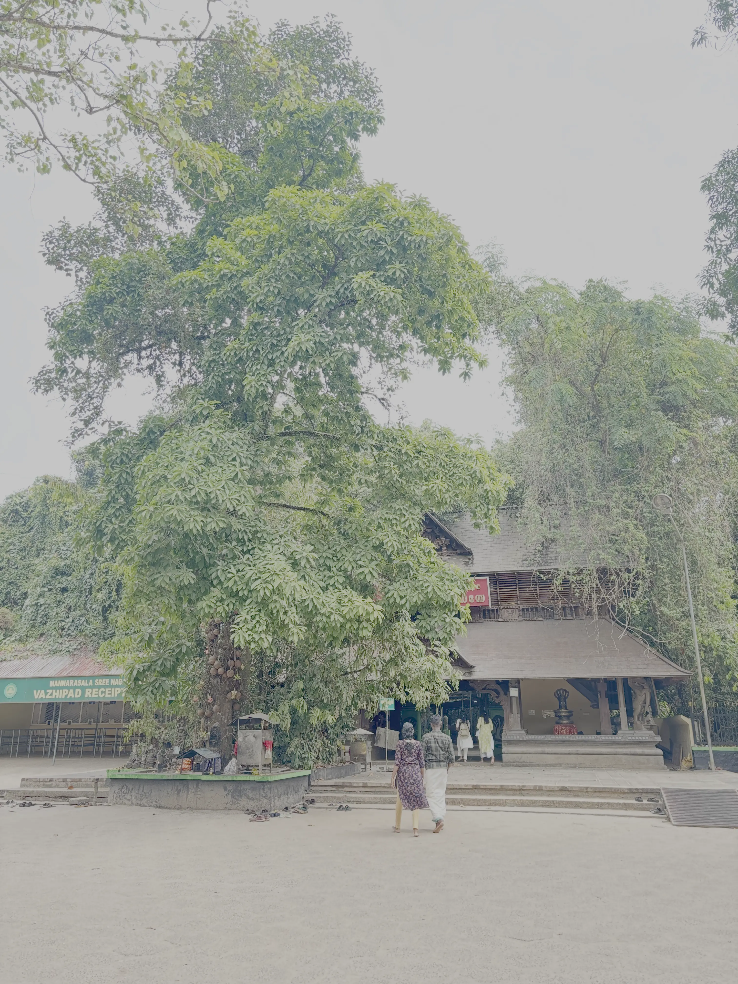 Gallery image - temple