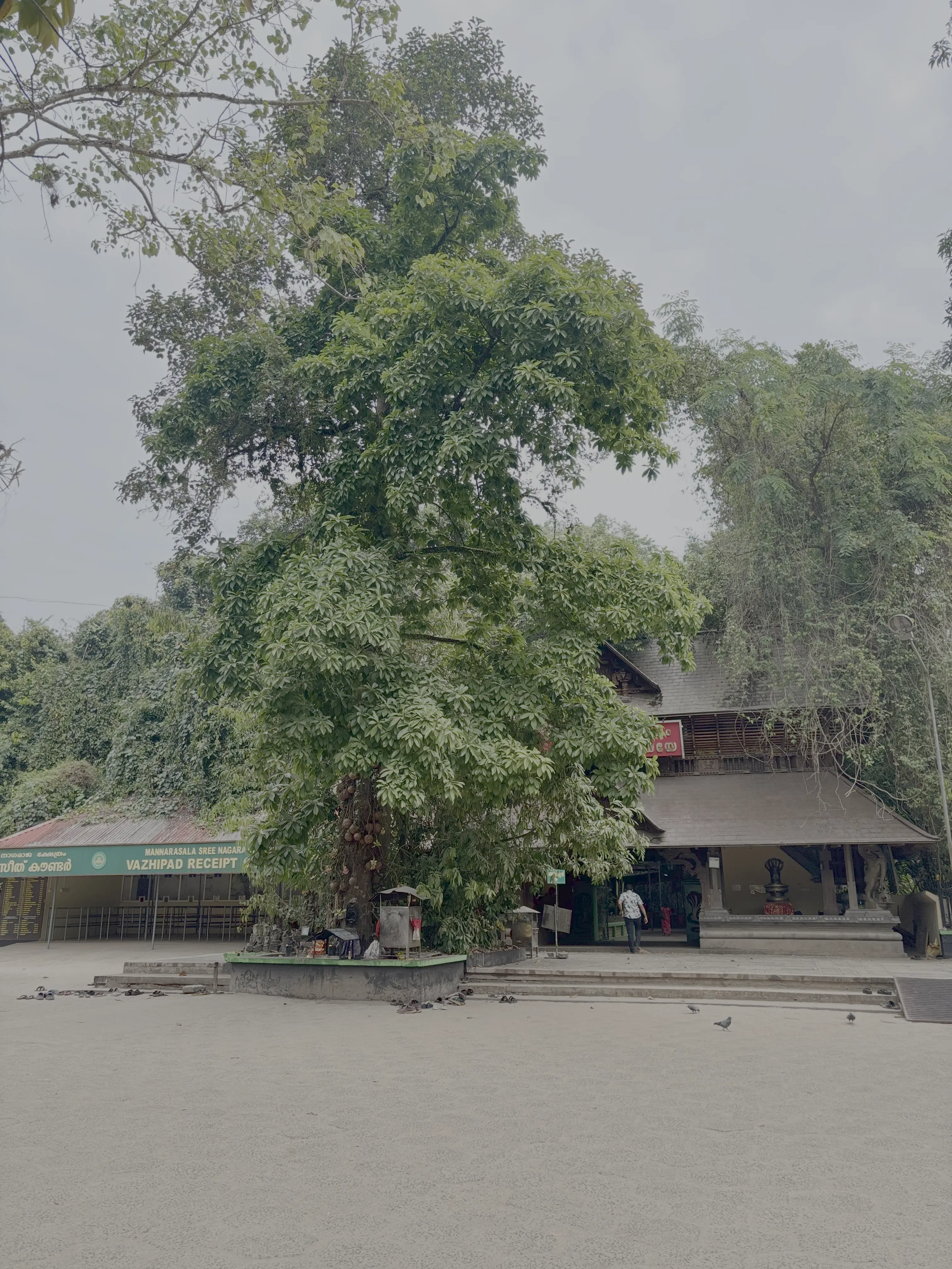 Gallery image - temple