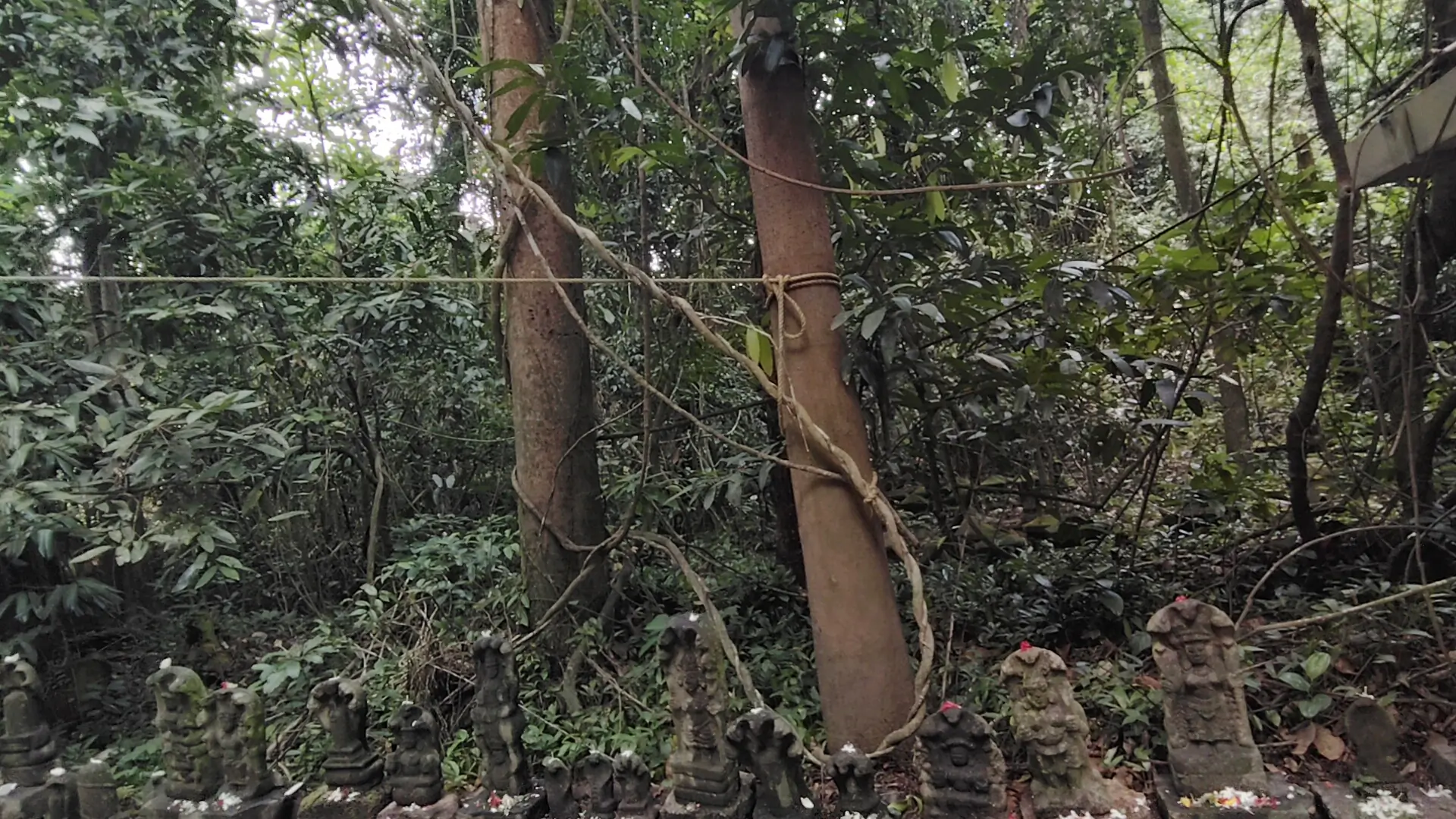 Gallery image - temple