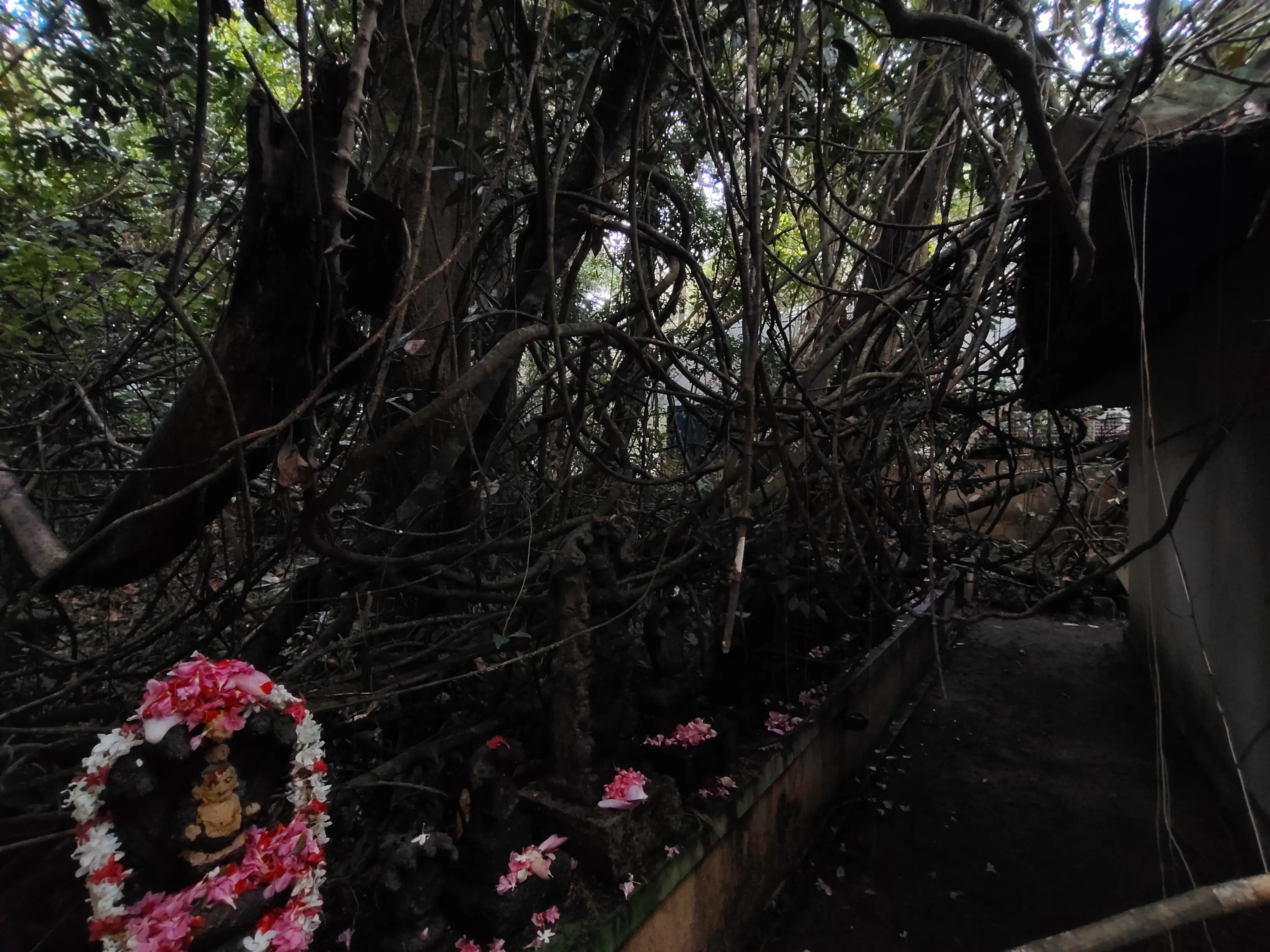 Gallery image - temple