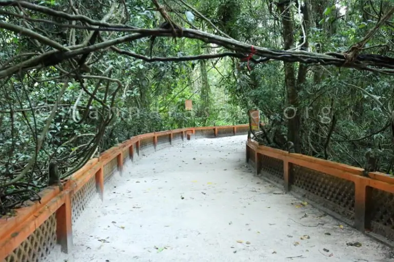 Gallery image - temple